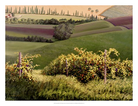 Framed Chianti Hills Print