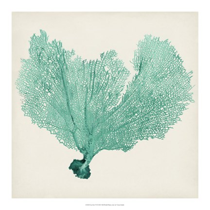 Framed Sea Fan VI Print