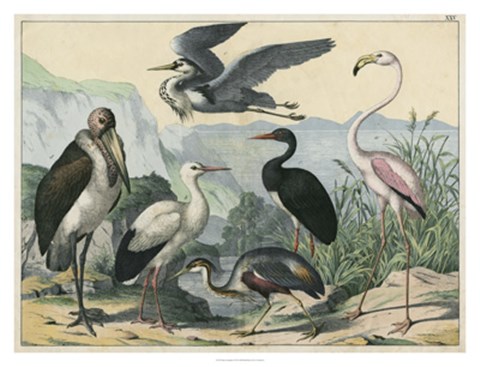 Framed Water Guardians Print