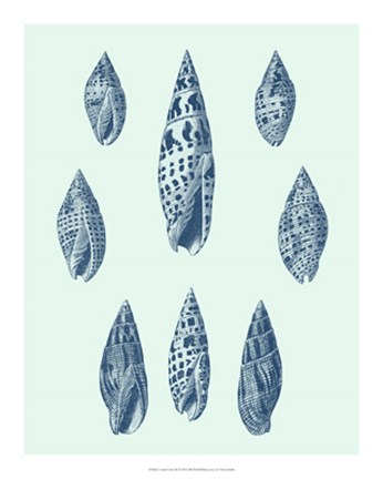 Framed Coastal Curio IX Print