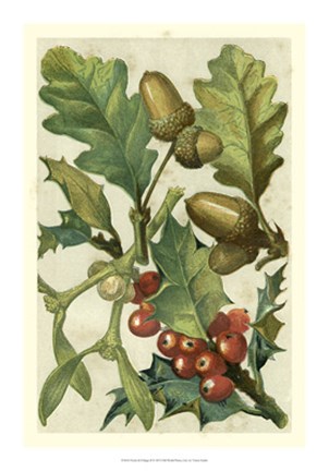 Framed Fruits &amp; Foliage II Print
