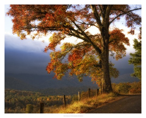 Framed And Morning Comes Print