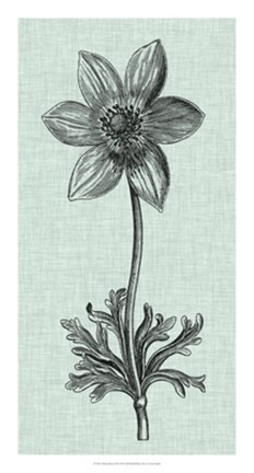 Framed Celadon Beauty III Print