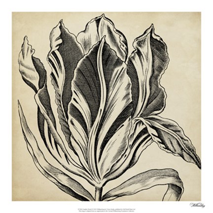 Framed Graphic Floral I Print