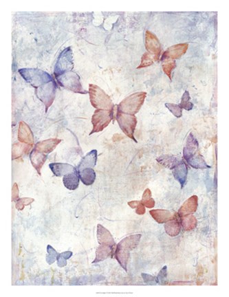 Framed In Flight I Print