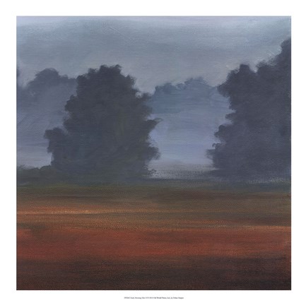 Framed Early Morning Mist II Print