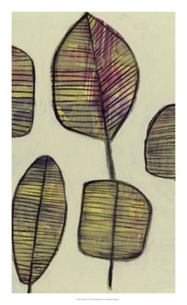 Framed Leaflets II Print