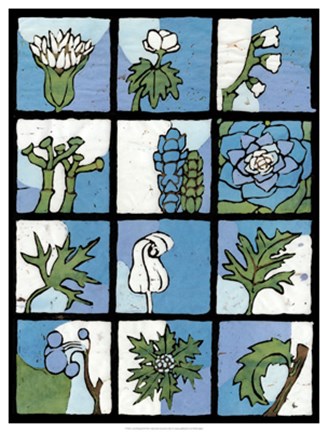 Framed Asure Botanical II 12-Patch Print