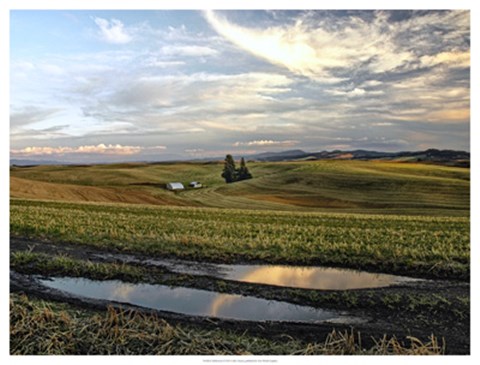 Framed Reflections Print