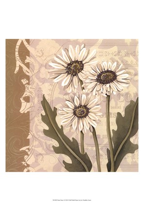 Framed Paris Daisy I Print