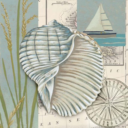 Framed Seaside Shell I Print