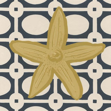 Framed Marine Medley III Print