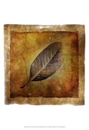 Framed Fallen I Print