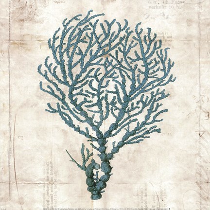 Framed Under the Sea I Print