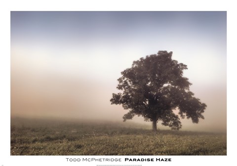 Framed Paradise Haze Print
