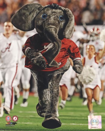 Framed University of Alabama Crimson Tide Mascot Print