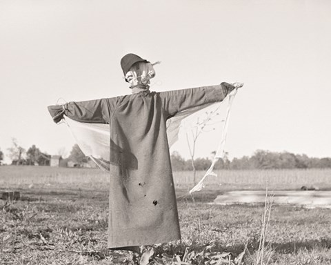 Framed Scarecrow, North Carolina Print