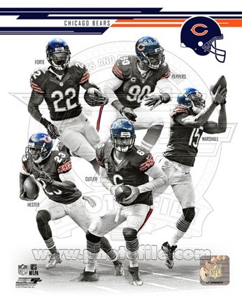 Framed Chicago Bears 2013 Team Composite Print