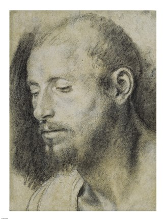 Framed Study of the Head of a Bearded Man Print