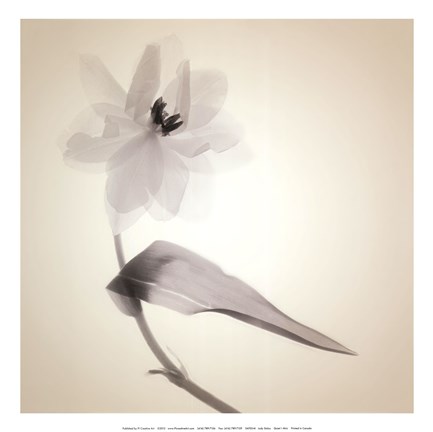 Framed Quiet I - Mini Print