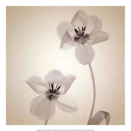 Framed Quiet II - Mini Print