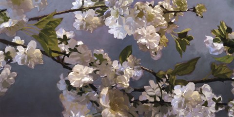 Framed Blue Blossoms Print