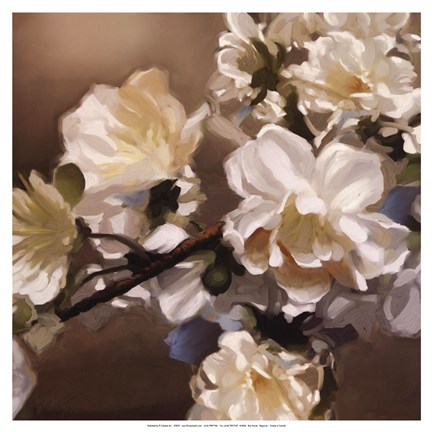 Framed Elegance I Print