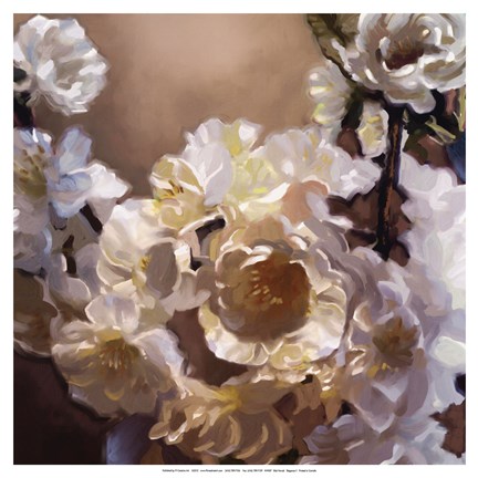 Framed Elegance II Print