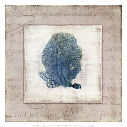 Framed Chambray Coral II - Mini Print