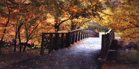 Framed Autumn Overpass-Special Print