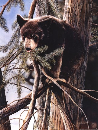 Framed Out On A Limb Print