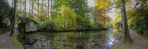 Framed Boathouse Print