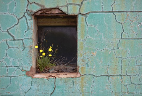 Framed Window 3 Print