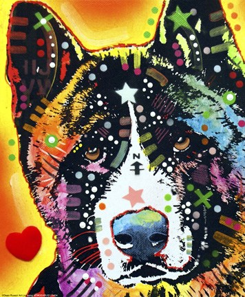 Framed Akita 1 Print