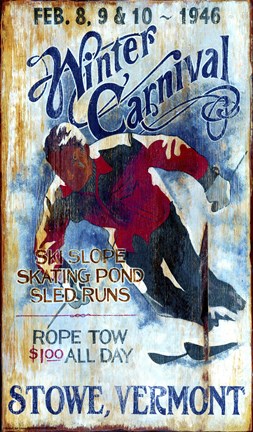 Framed Ski Stowe Print