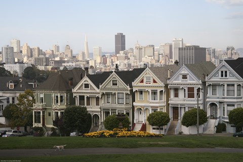 Framed Painted Ladies San Franciso 1 Print