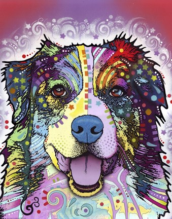 Framed Australian Shepherd Print