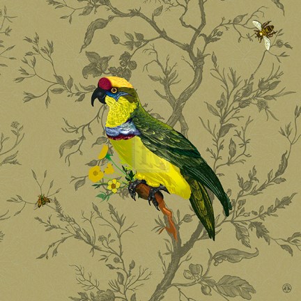 Framed Pisticule Parrot Print