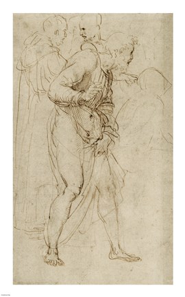 Framed Studies for the Disputa Print