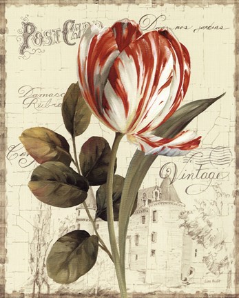Framed Garden View II - Red Tulip Print