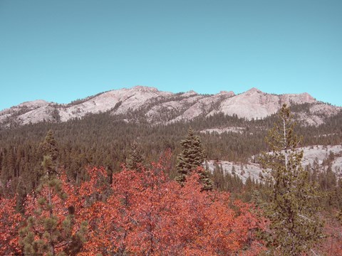 Framed Sierra Nevada Mountains 3 Print