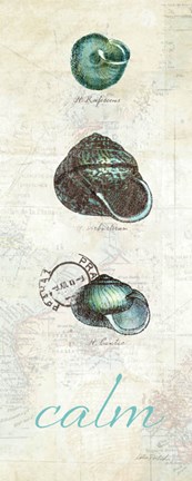 Framed Touch of Blue Shells II Print