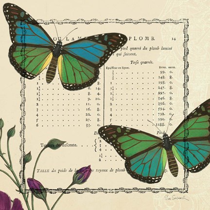 Framed Summer Pages IV Print