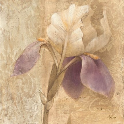 Framed Brocade Iris Print