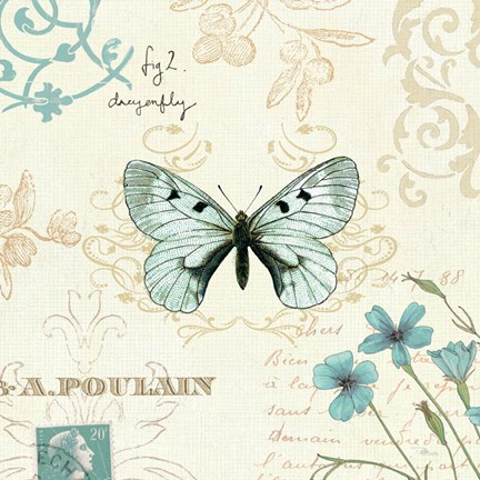 Framed Natural Elegance I Print