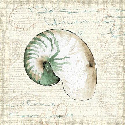 Framed Ocean Prints III Print