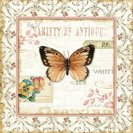 Framed Rose Garden V Print