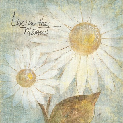Framed Daisy Do III - Live in the Moment Print