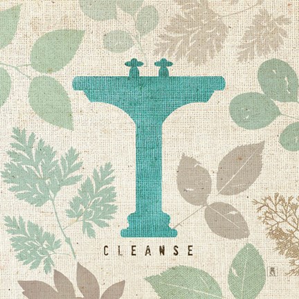 Framed Forest Bath I Print