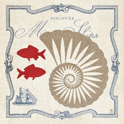 Framed Pacific Nautilus Print